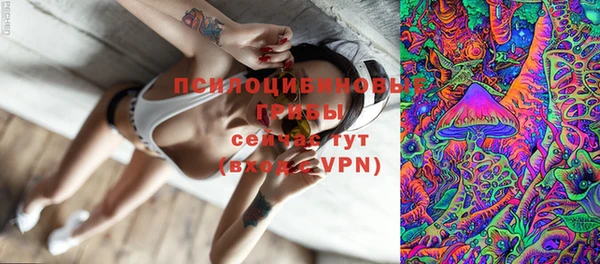 дмт Саяногорск