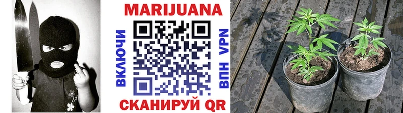 Марихуана MAZAR  KRAKEN маркетплейс  Ессентукская 